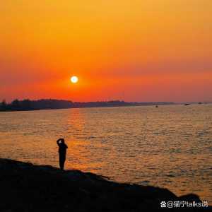 丫丫金铲铲无限金币苹果版，丫丫金铲无限金币-第3张图片-宏盛游戏