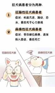 金铲铲之战新手入门指南?金铲铲之战初学者技巧?-第3张图片-宏盛游戏 金铲铲之战新手入门指南?金铲铲之战初学者技巧?-第3张图片-宏盛游戏