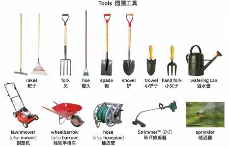 金铲铲英文怎么说?金铲铲之战 英雄简称?-第4张图片-宏盛游戏 金铲铲英文怎么说?金铲铲之战 英雄简称?-第4张图片-宏盛游戏