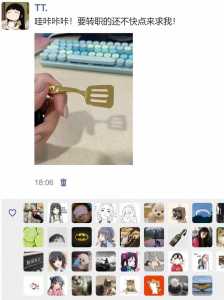 金铲铲之战战斗记录已过期什么意思，金铲铲之战保存回放