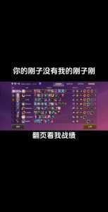金铲铲之战战绩可以隐藏吗？金铲铲之战可以看战绩吗？-第4张图片-宏盛游戏
