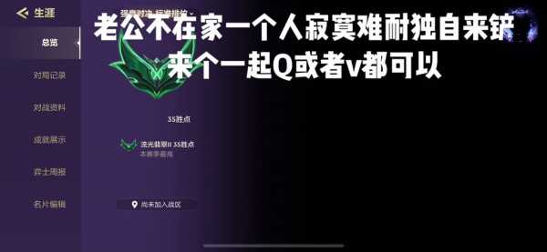 金铲铲用电脑玩为什么卡？金铲铲用电脑玩很卡？-第5张图片-宏盛游戏