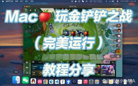 玩金铲铲的模拟器有哪些,金铲铲之战用模拟器-第2张图片-宏盛游戏 玩金铲铲的模拟器有哪些,金铲铲之战用模拟器-第2张图片-宏盛游戏
