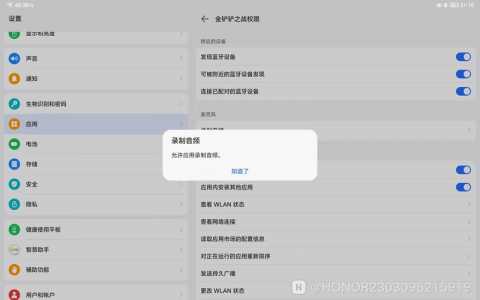 金铲铲之战没有麦克风权限怎么办啊,金铲铲之战打开没有声音-第2张图片-宏盛游戏 金铲铲之战没有麦克风权限怎么办啊,金铲铲之战打开没有声音-第2张图片-宏盛游戏