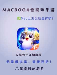 ipad可以玩金铲铲之战吗?苹果平板玩金铲铲之战?-第2张图片-宏盛游戏 ipad可以玩金铲铲之战吗?苹果平板玩金铲铲之战?-第2张图片-宏盛游戏
