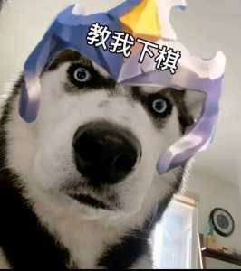 垃圾游戏金铲铲表情包gif?金铲铲趣味表情包?-第3张图片-宏盛游戏 垃圾游戏金铲铲表情包gif?金铲铲趣味表情包?-第3张图片-宏盛游戏