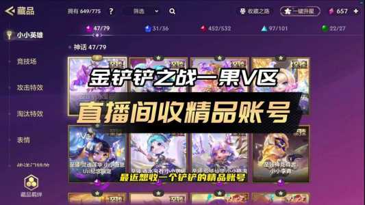 金铲铲之战ipad怎么微信登录，金铲铲之战ipad不能微信登录-第5张图片-宏盛游戏