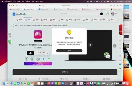 金铲铲之战怎么在电脑上全屏看，金铲铲之战怎么在电脑玩