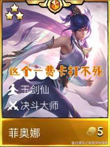 金铲铲之战五费卡多少张一个多少，金铲铲之战五费卡概率
