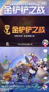 金铲铲实名认证怎么解除,金铲铲之战实名认证怎么弄-第4张图片-宏盛游戏 金铲铲实名认证怎么解除,金铲铲之战实名认证怎么弄-第4张图片-宏盛游戏