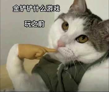 金铲铲又菜又搞笑名字女的，金铲铲之战搞笑游戏名？