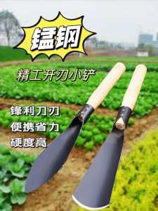 金铲铲的拼音怎么打出来？金铲铲怎么玩新手教程？