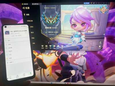 金铲铲之战会闪退，金铲铲之战闪退的解决方法