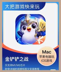金铲铲ios怎么在电脑玩，金铲铲之战怎么用电脑玩ios-第3张图片-宏盛游戏