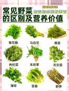 金铲铲文案有一种温柔?金铲铲的说说?-第4张图片-宏盛游戏 金铲铲文案有一种温柔?金铲铲的说说?-第4张图片-宏盛游戏
