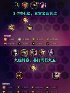 如何玩金铲铲s9赛季英雄皮肤，金铲铲怎么玩s2